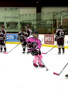 Pink at The Rink 2016 vs. Colgate